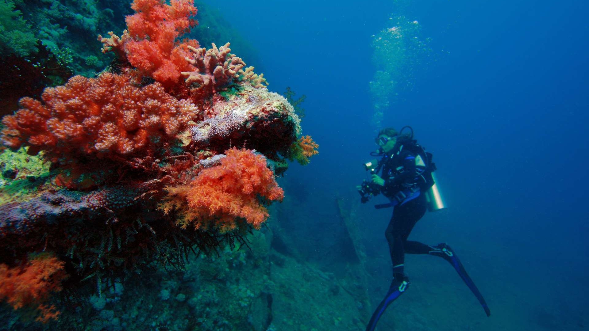 Pratiquer la plongée dans le Haut-Rhin ? Bien sûr que c’est possible !
